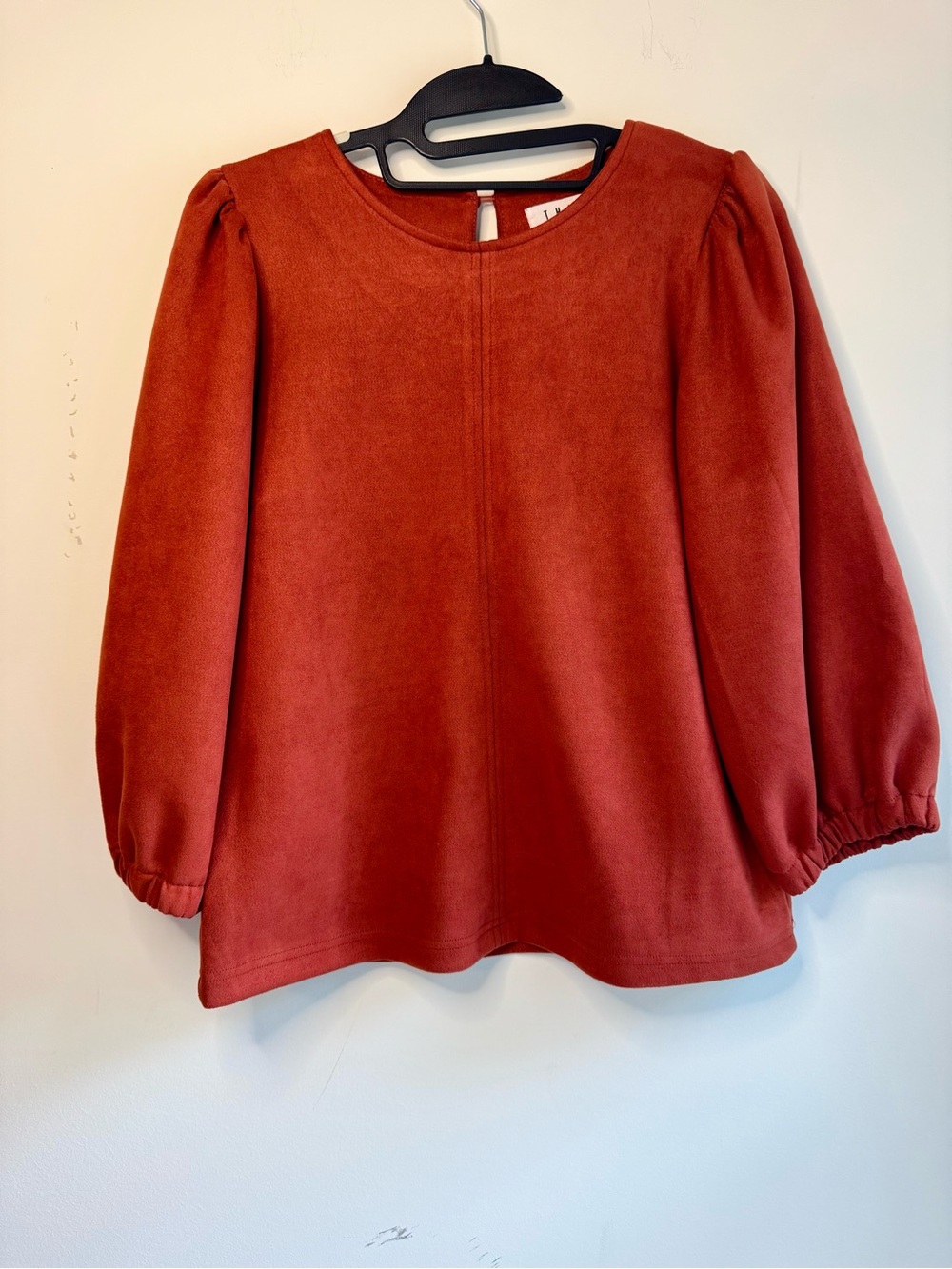 THML Rust Red Puff Sleeve Tunic Top